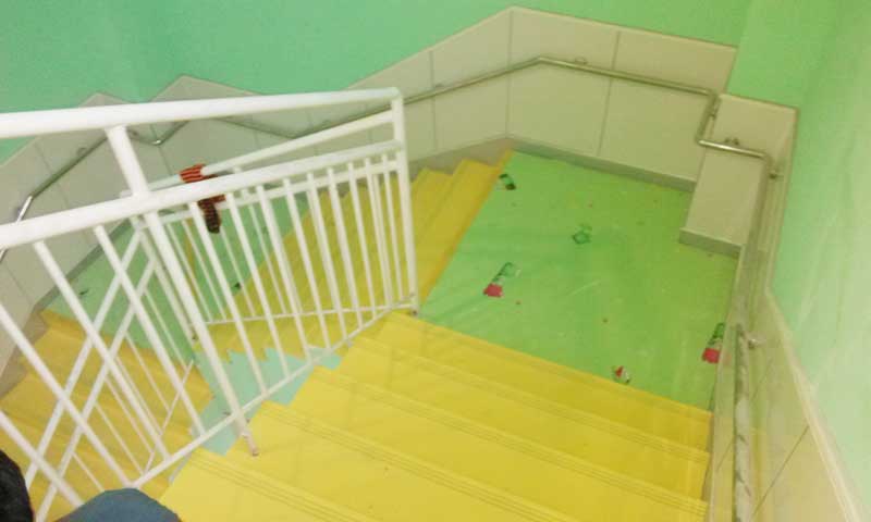 天津西青区双语幼儿园小猪视频官网下载案例 天津西青区莱茵阳光双语幼儿园小猪视频官网下载