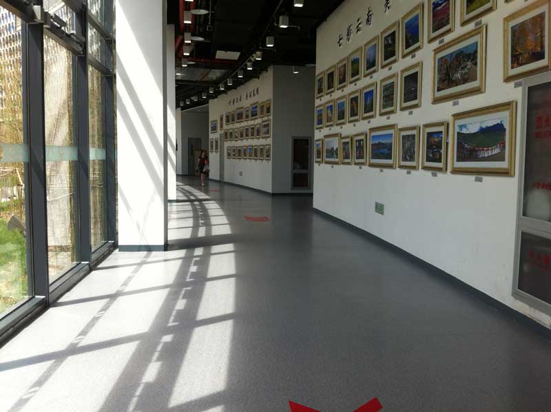北京丰台区园博会商用小猪视频官网下载 北京丰台区园博会商用小猪视频官网下载