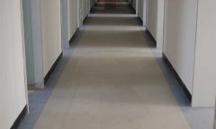 最高检办公室小猪视频官网下载