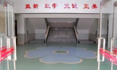 运动小猪视频官网下载安装_怎么铺
