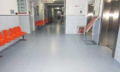 河北省承德市隆化县医用塑胶小猪视频官网下载