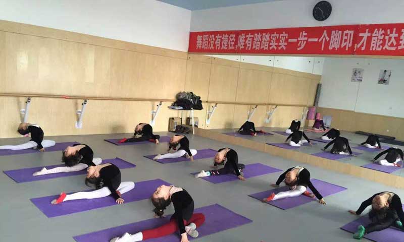 舞蹈教室小猪视频官网下载案例列表
