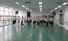 河北保定市河北大学艺术学院舞蹈小猪视频官网下载
