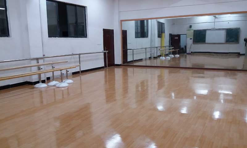 江西省宜春市外国语学校舞蹈小猪视频官网下载 江西省宜春市外国语学校舞蹈小猪视频官网下载