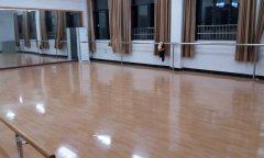 舞蹈小猪视频官网下载多少钱一平方米