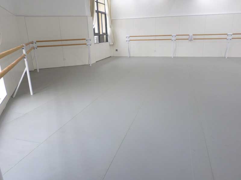 广东省广州市白云区舞蹈小猪视频官网下载