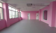 山东省济宁市婷婷舞蹈学校舞蹈教室小猪视频官网下载