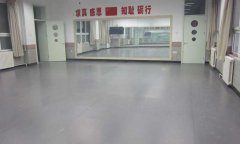 北京第一实验小学舞蹈室小猪视频官网下载