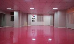 内蒙古包头市颖艺艺术舞蹈室小猪视频官网下载