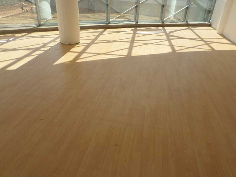 内蒙古鄂托克前旗运动小猪视频官网下载