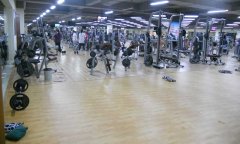 健身房运动小猪视频官网下载多少钱一平方米