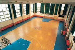 军事科学院体育馆室内篮球场小猪视频官网下载