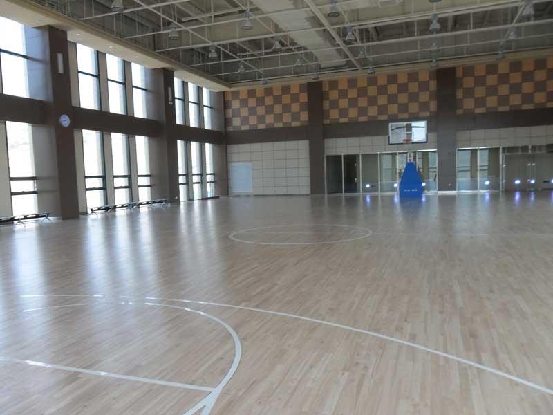 山东省济南全运村篮球场小猪视频官网下载 山东省济南全运村篮球场小猪视频官网下载