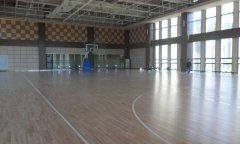 山东省济南全运村篮球场小猪视频官网下载