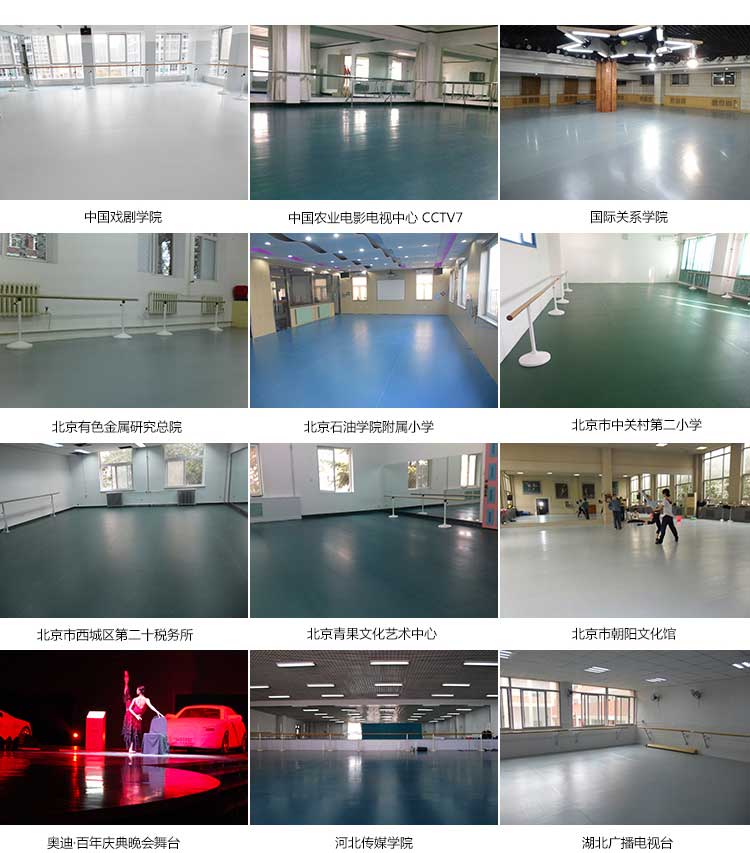 高弹系列·舞蹈小猪视频官网下载_舞台小猪视频官网下载